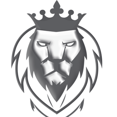 singularyum.site logo
