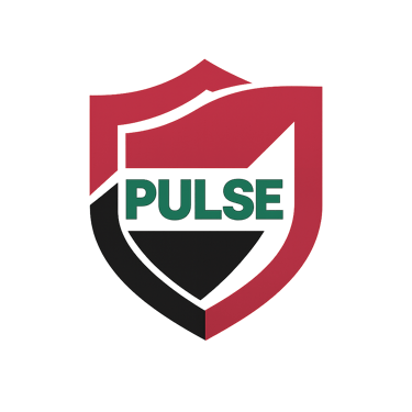 HSE IRAQ PULSE logo