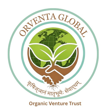 Orventa Global logo