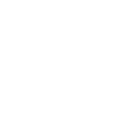 Stone Island logo