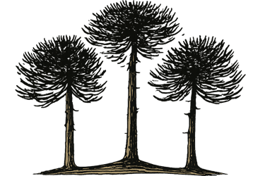 Tres Araucarias logo