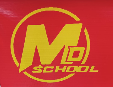 Metro Driving School logo