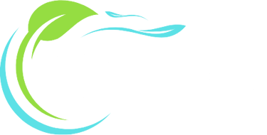 WILD B logo