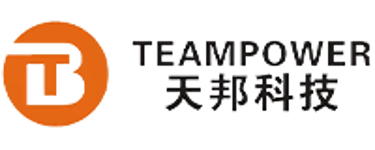 Teampower Singapore Pte Ltd logo