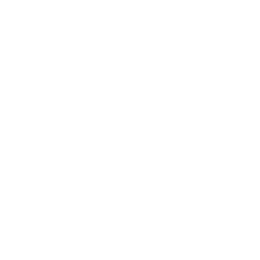 LOCK IN logo