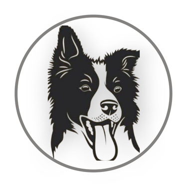 adestramentocaonosso/online logo