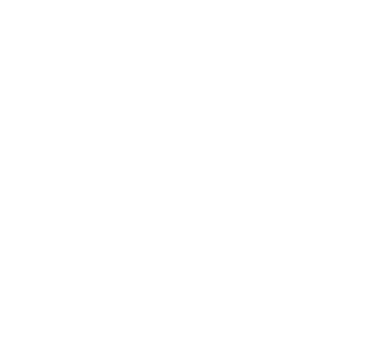 VIZION logo