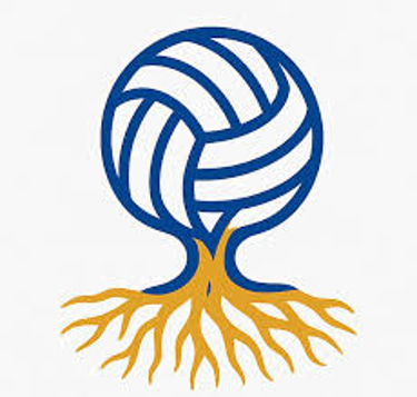 Roots Volleyball Academy logo