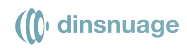DinsNuage logo
