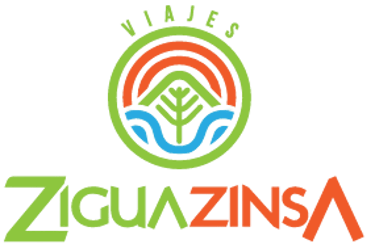 ziguazinsa logo