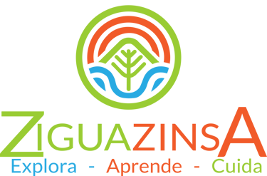 ziguazinsa logo