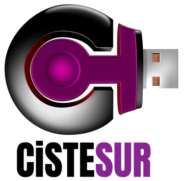 cistesur.com logo