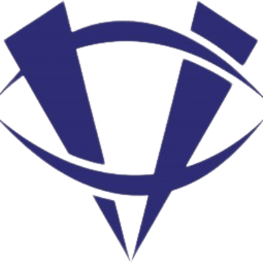 Vision TSL logo