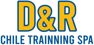 D&R Chile Trainning spa logo