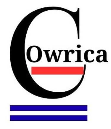 Cowrica Small Business IT logo