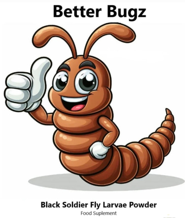 Better Bugz logo