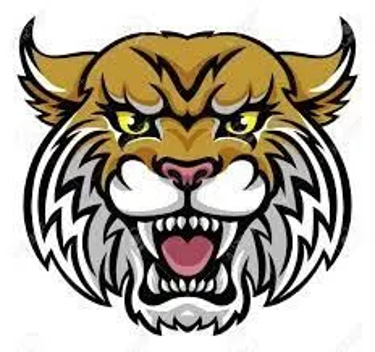 Diablo View Middle School PE  logo