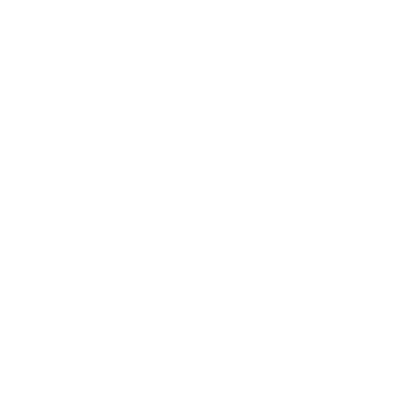 NAZZCA logo