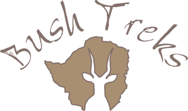 Bushtreks Adventure Safaris logo