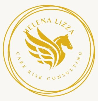 Consultant en résolution de problème dans les établissements de santé logo