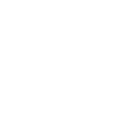 peluzadesign logo