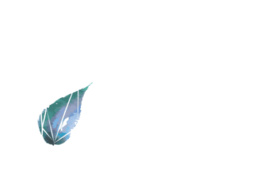 Dr. Francisco Morato logo