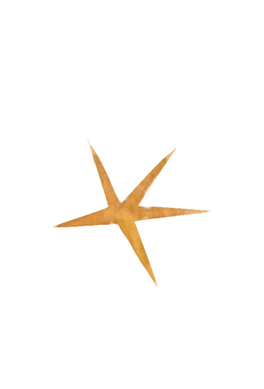 Marina e Nico logo