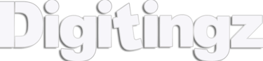 Digitingz logo