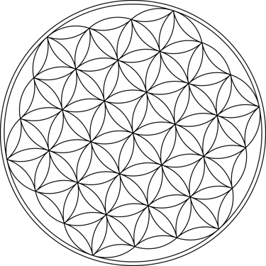 Sohei LLC logo
