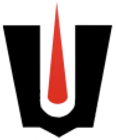 Divine Yuga logo