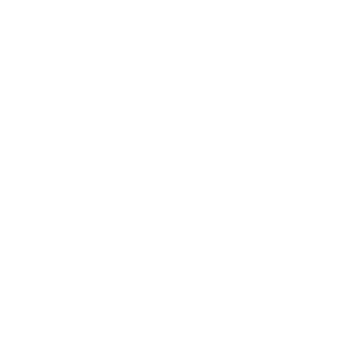 Kinesiologie Zürich | Andrea Zimmermann logo