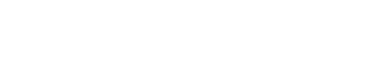 Zominia logo