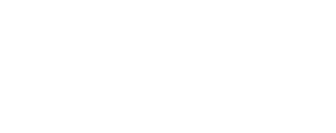 VITA VIRI logo