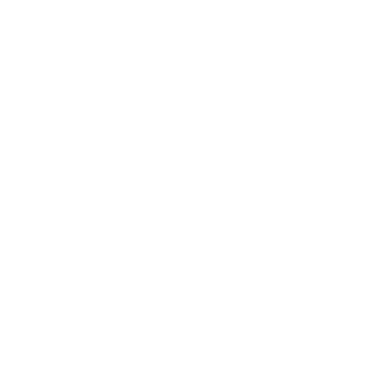 She Nailed It LLC logo