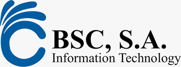 Business Services & Consulting, Technology, Financial, Commercial, Government, BSC, Integración de soluciones, Gestión de Proyectos, Gestión Documental, Ciberseguridad, Capacitación, QA, Control de Calidad, Gestión de Riesgos logo