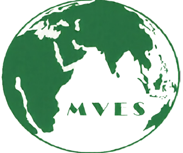 MV Environmental Solutions logo