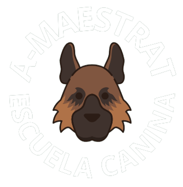 A_Maestrat Escuela y Asociación Canina logo