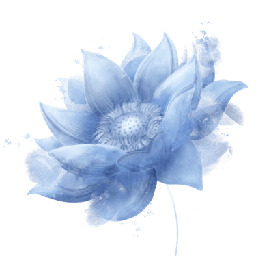 Kay Norde | Autrice - Graphiste - Illustratrice logo