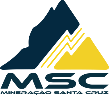 msc iron logo