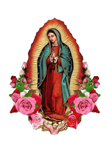 Fontanería Virgen logo