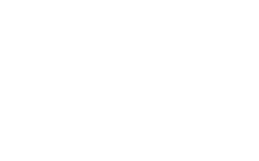 Boni Motori Marini logo