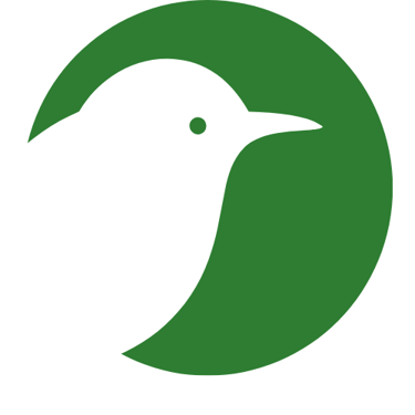 aviplus logo