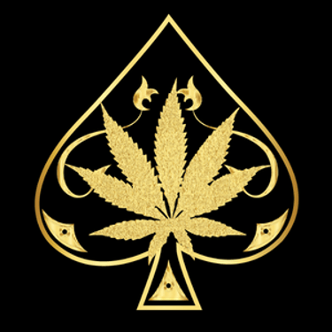 Ace Ultra Premium logo