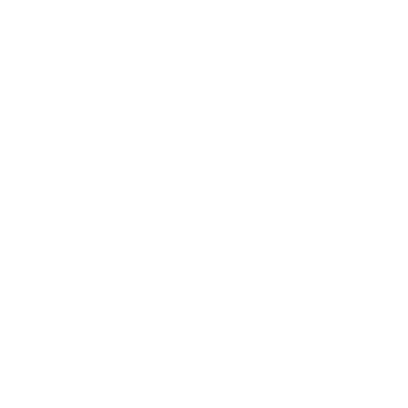 Sagentivum logo