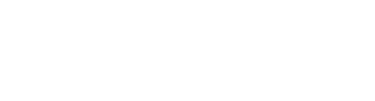 Samir.Business logo