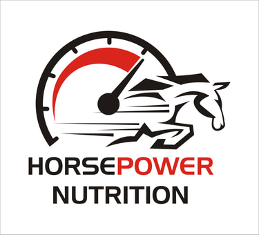 HPN logo
