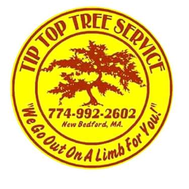 Tip Top Tree Service logo