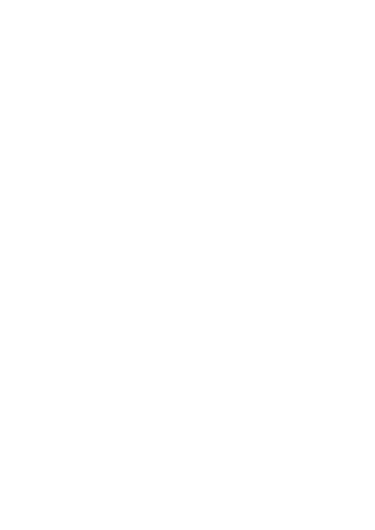 Muay-Thai Evolution logo