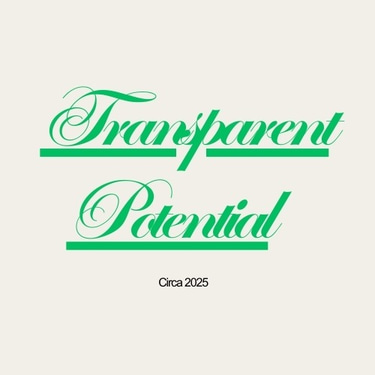 Transparent Potential logo
