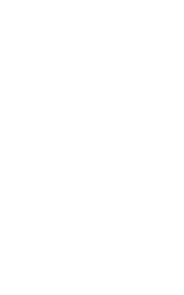 Easyvis logo